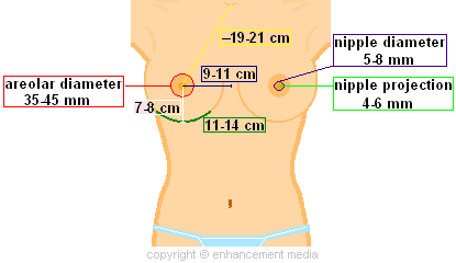 http://www.breastreduction4you.com/images/idealbreastdiagram.gif
